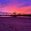 duinen.3